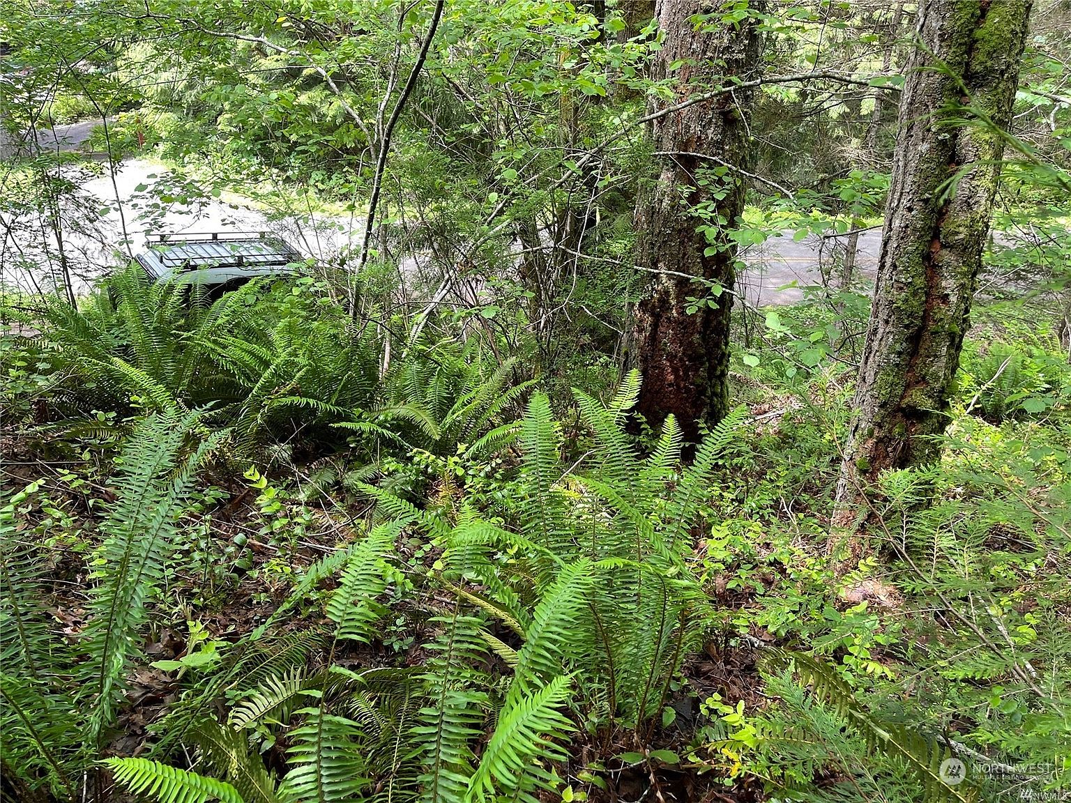 9999 XXX E Quilcene Road, Quilcene, WA 98376 Zillow