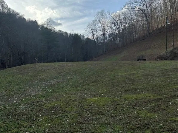 3588 Copperas Fork Rd, Holden, WV 25625