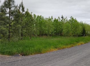 0 Nicholson Rd, Toledo, WA 98591