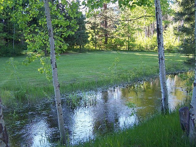 seasonal front creek