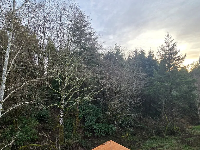 4265 Sequoia Loop — Photo 24
