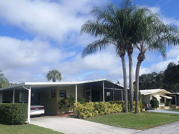 THREE MAJESTIC PALM TREES