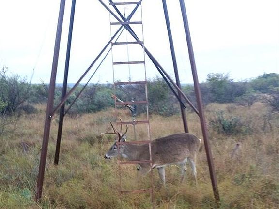 4th image of 9200 County Road 300