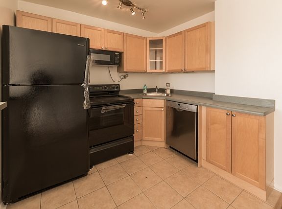 3rd image of 1455 N Sandburg Ter #505