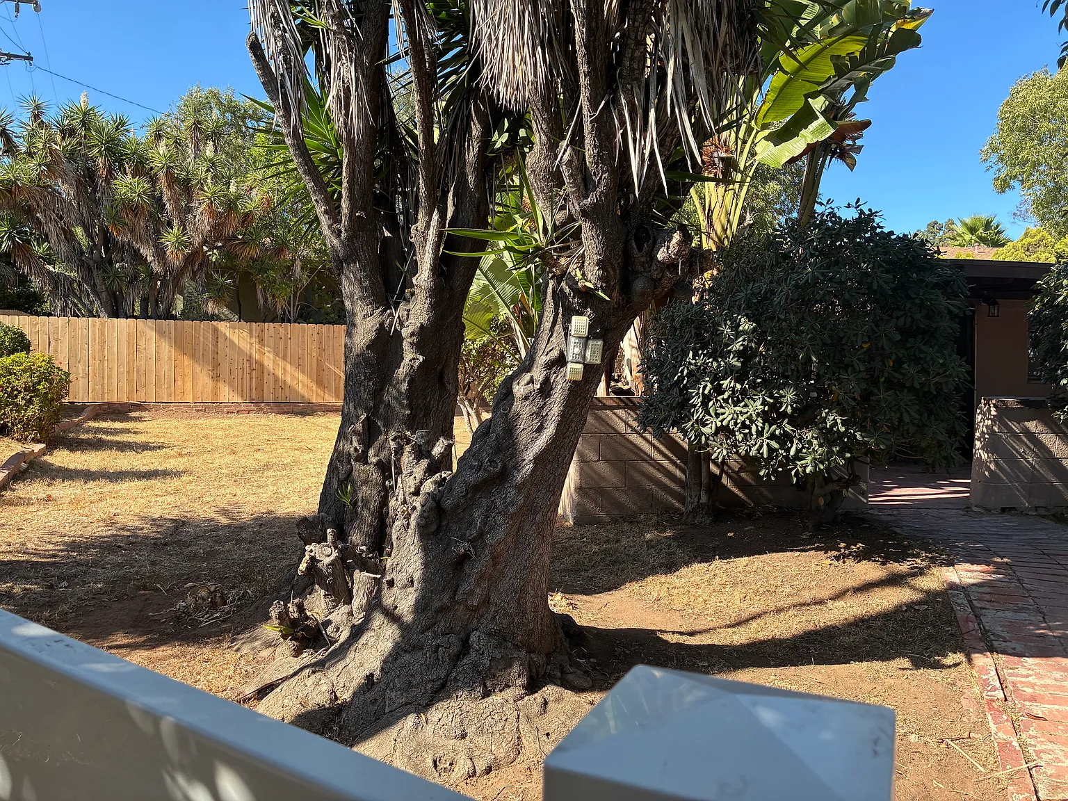 2 bed, 850 sqft, $2,695 — Photo 1