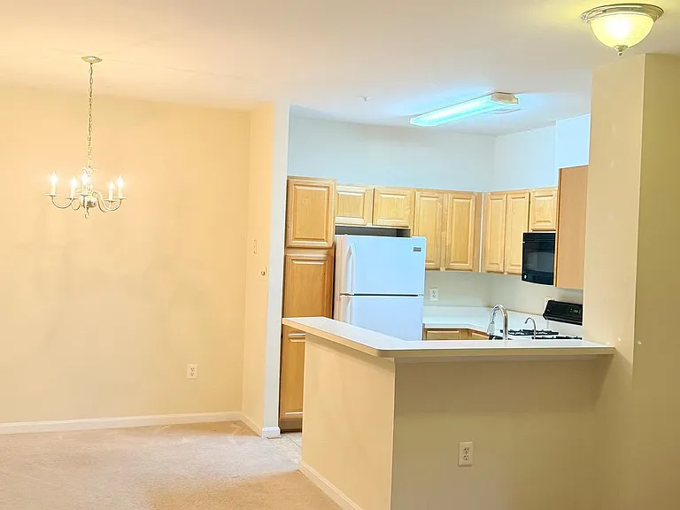 4137 Fountainside Ln #201 — Photo 5