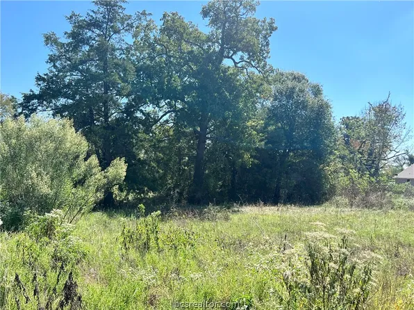 0 Bedford Ct, Iola, TX 77861