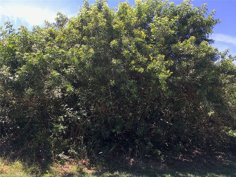 2nd image of 302 Fox Ridge Rd