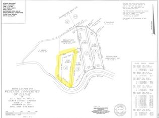 1376 Pleasant Gap Rd, Ellijay, GA 30540