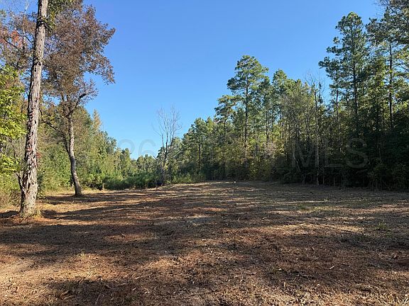 2nd image of Bluff Springs Rd