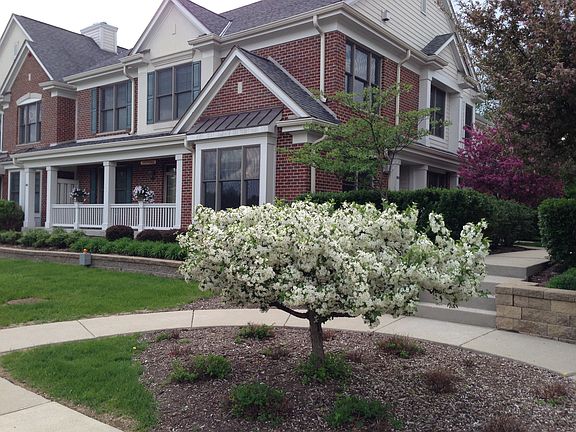 Condo exterior in spring