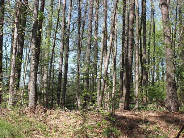 2086 Cutlass Ct, Greenbackville, VA 23356