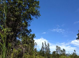 Road 2, Kurtistown, HI 96760