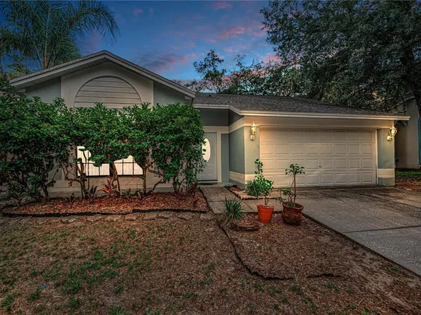 4113 Quail Briar Dr, Valrico, FL 33596