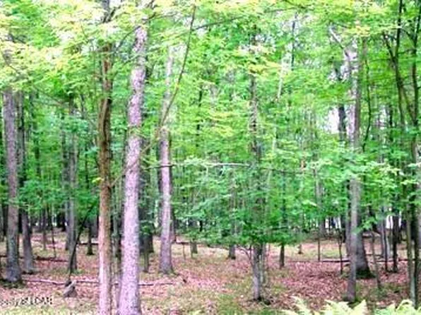 E Lot 99 Chestnut Dr, Hazleton, PA 18202