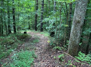 645 Tunnel Rd #157 & 158, Marion, NC 28752