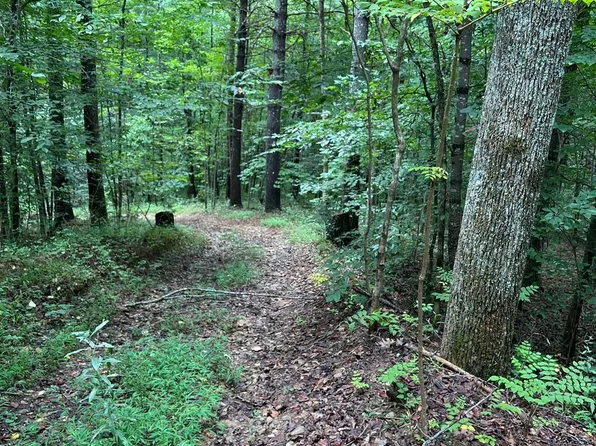 645 Tunnel Rd #157 & 158, Marion, NC 28752