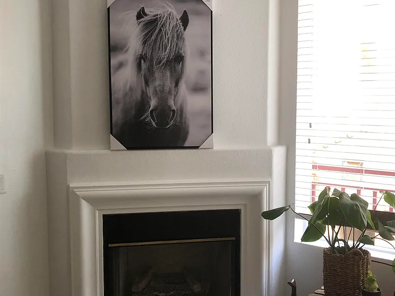 12368 Carmel Country Rd #D208 — Photo 7