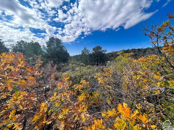 173 E County Road 343 Bartons Rd, Monticello, UT 84535