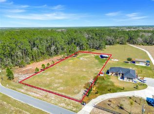 18041 San Juan Ave Lot 41, Polk City, FL 33868