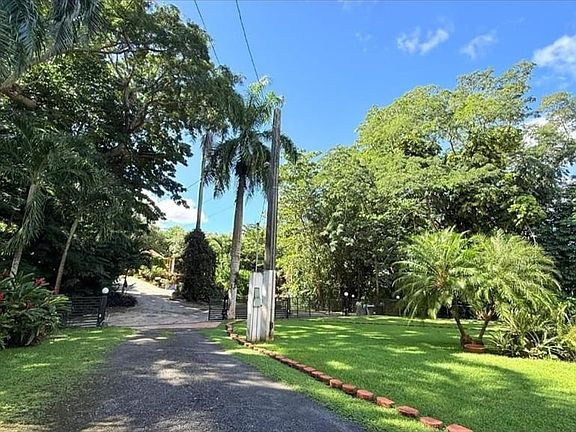 4th image of 177 Vanda