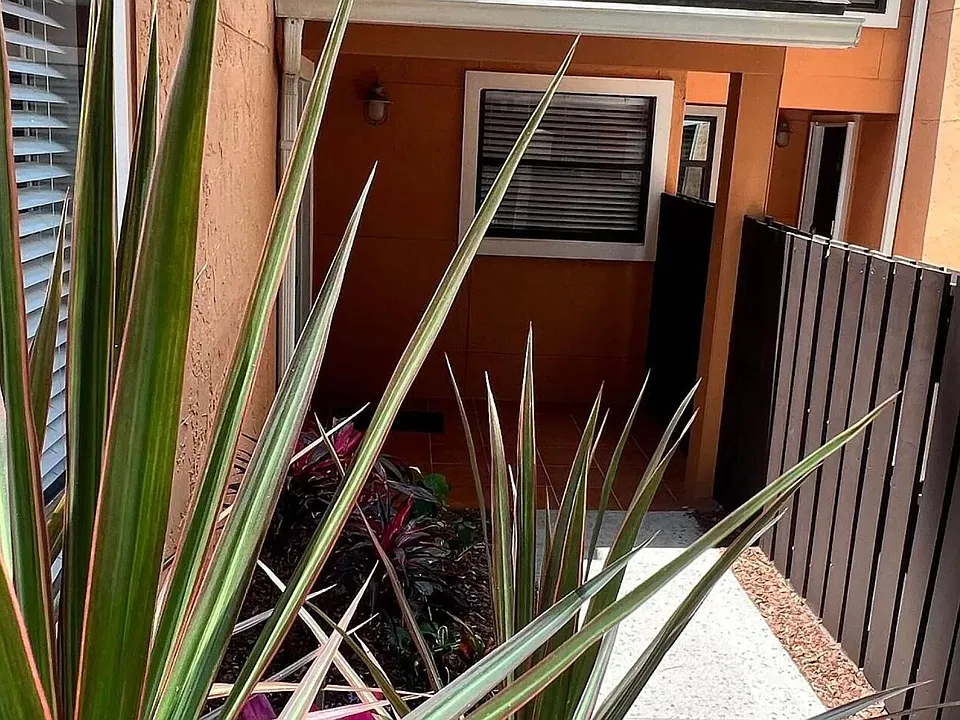 Private courtyard.