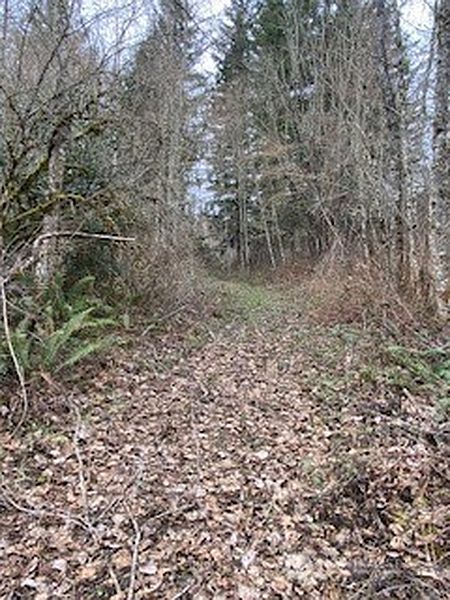 5th image of 252 XX SE GREEN VALLEY RD