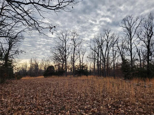 0 Dunklin Rd, Lebanon, MO 65536