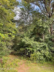 1a Lea Crest Lane, Hampstead, NC, 28443