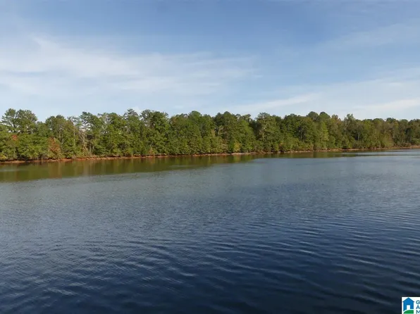 36 County Road 256, Wedowee, AL 36278