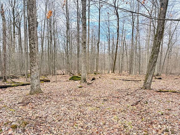 2nd image of Morrison Hill Rd