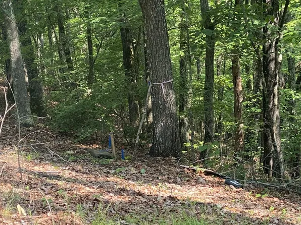 0 Cobb Mountain Cir, Blairsville, GA 30512