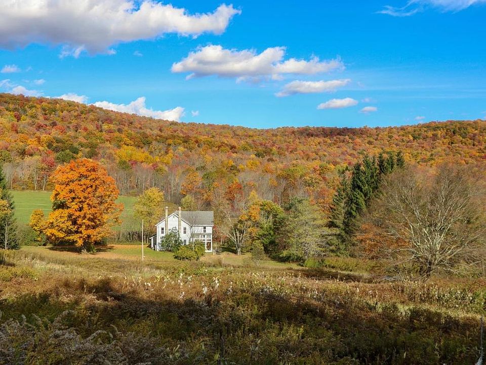 3524 Basin Clove Rd, Hamden, NY 13782 Zillow