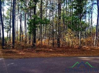 Tbd Simmons Rd, Diana, TX 75640