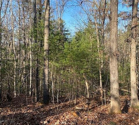 5th image of 0 Proghorn Ln Lot 22-A