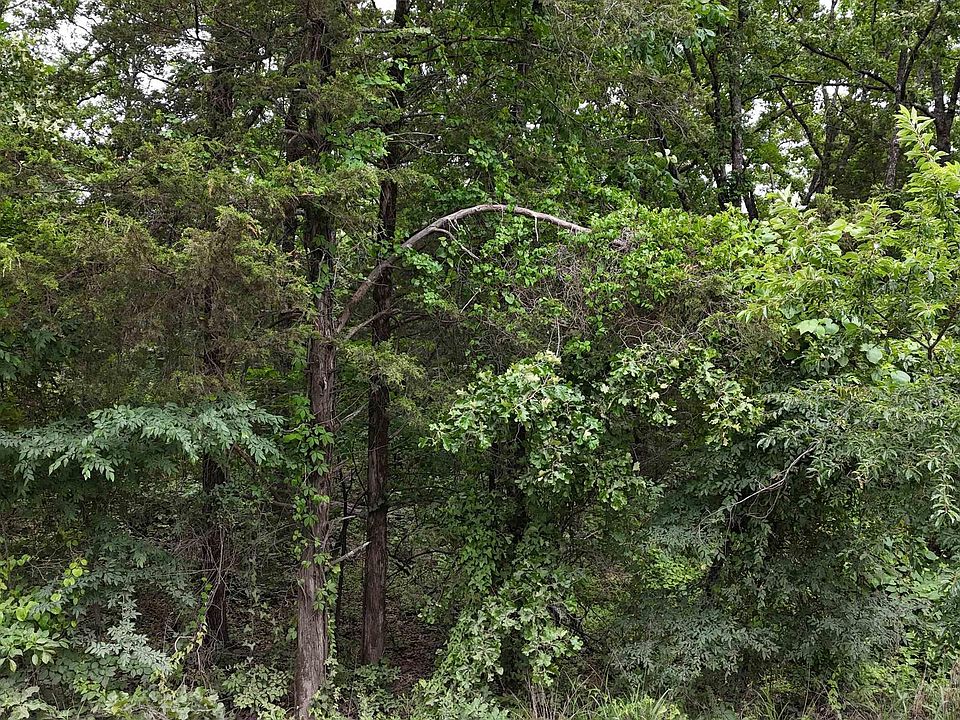 1st image of 0 Pleasant Grove Loop