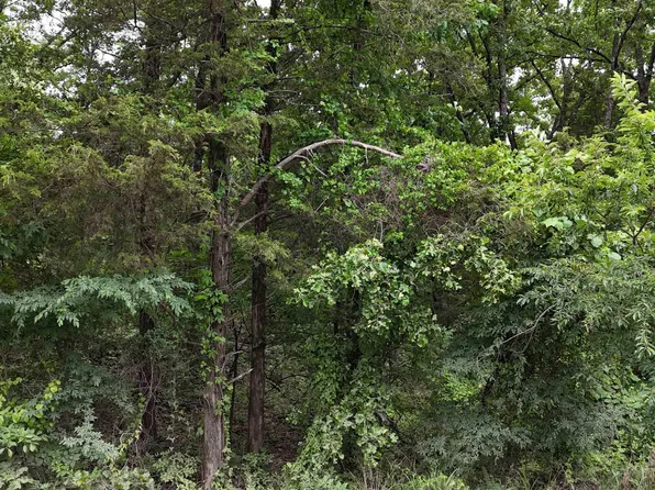 0 Pleasant Grove Loop, Cleveland, AR 72030