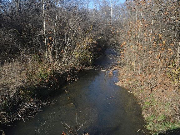Spring fed creek!