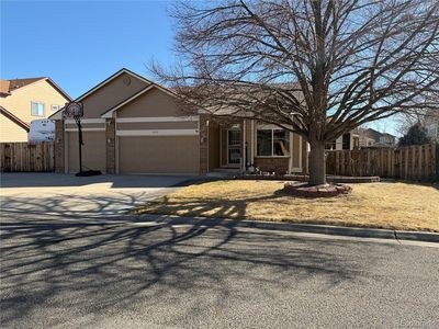 5372 YANK Way, Arvada, CO, 80002