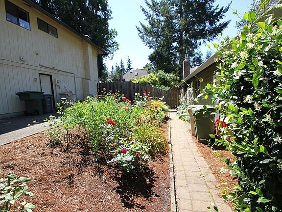 Side yard
