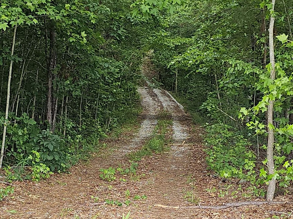 1st image of 2546 County Road 80 #1