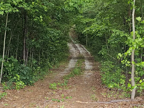 2546 County Road 80 #1, Muscadine, AL 36269