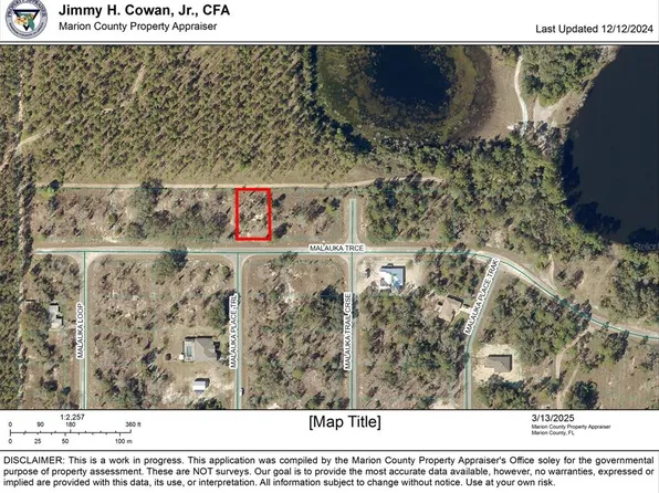 Malauka Trce #8, Ocklawaha, FL 32179