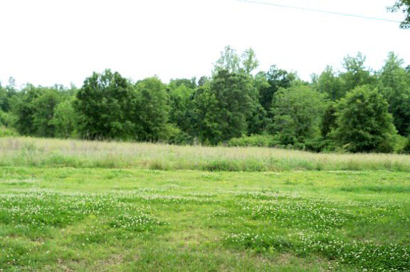 2nd image of 116 Grey Oaks Ln