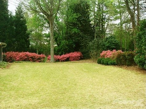 Low-Maintenance Backyard