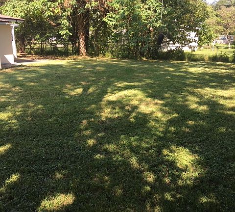 4th image of 6716 Mopsy Ln