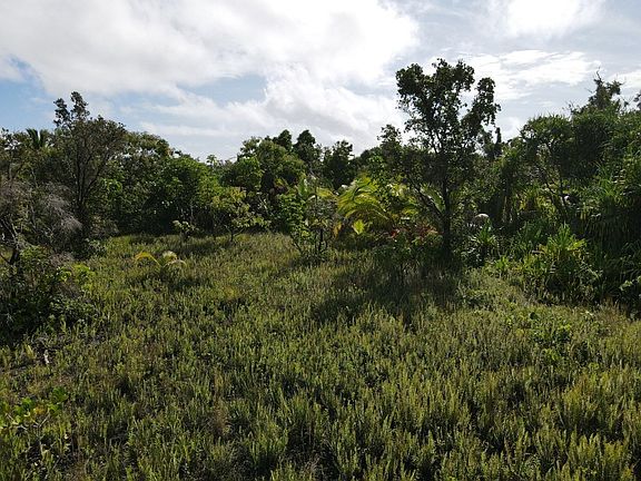 5th image of 12-7043 Kaihiaku St Lot 88