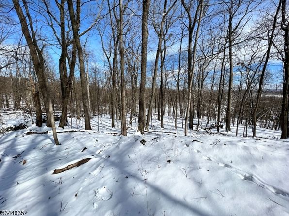 76 Monroe Rd, Lafayette Twp., NJ 07848