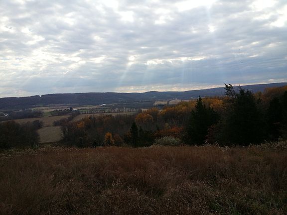 local view