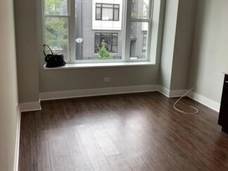 1343 W Cullerton St #2F — Photo 4
